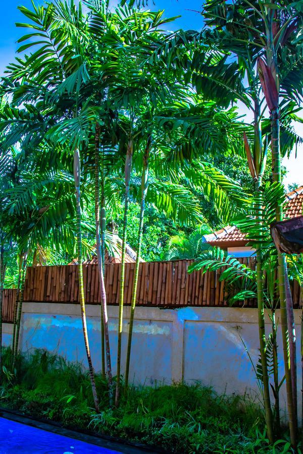 Villa Impian Canggu Exteriér fotografie