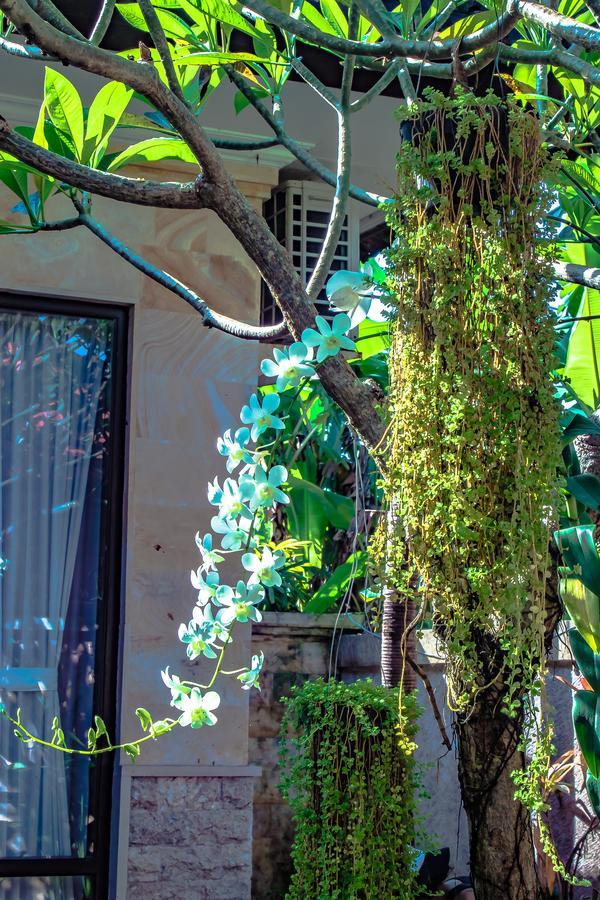 Villa Impian Canggu Exteriér fotografie