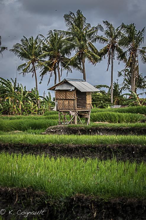 Villa Impian Canggu Exteriér fotografie